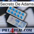 Adams Secret new15